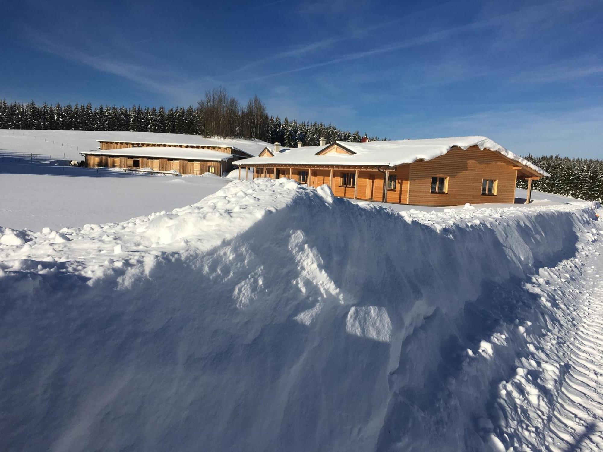 Big Sky Ranch Liebenau (Upper Austria) Exterior foto
